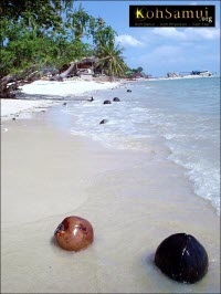 kscoconuts